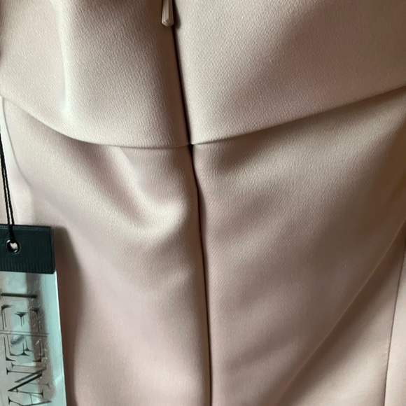 Ieena  for MacDuggal pale pink gown sz 10 - Picture 8 of 8